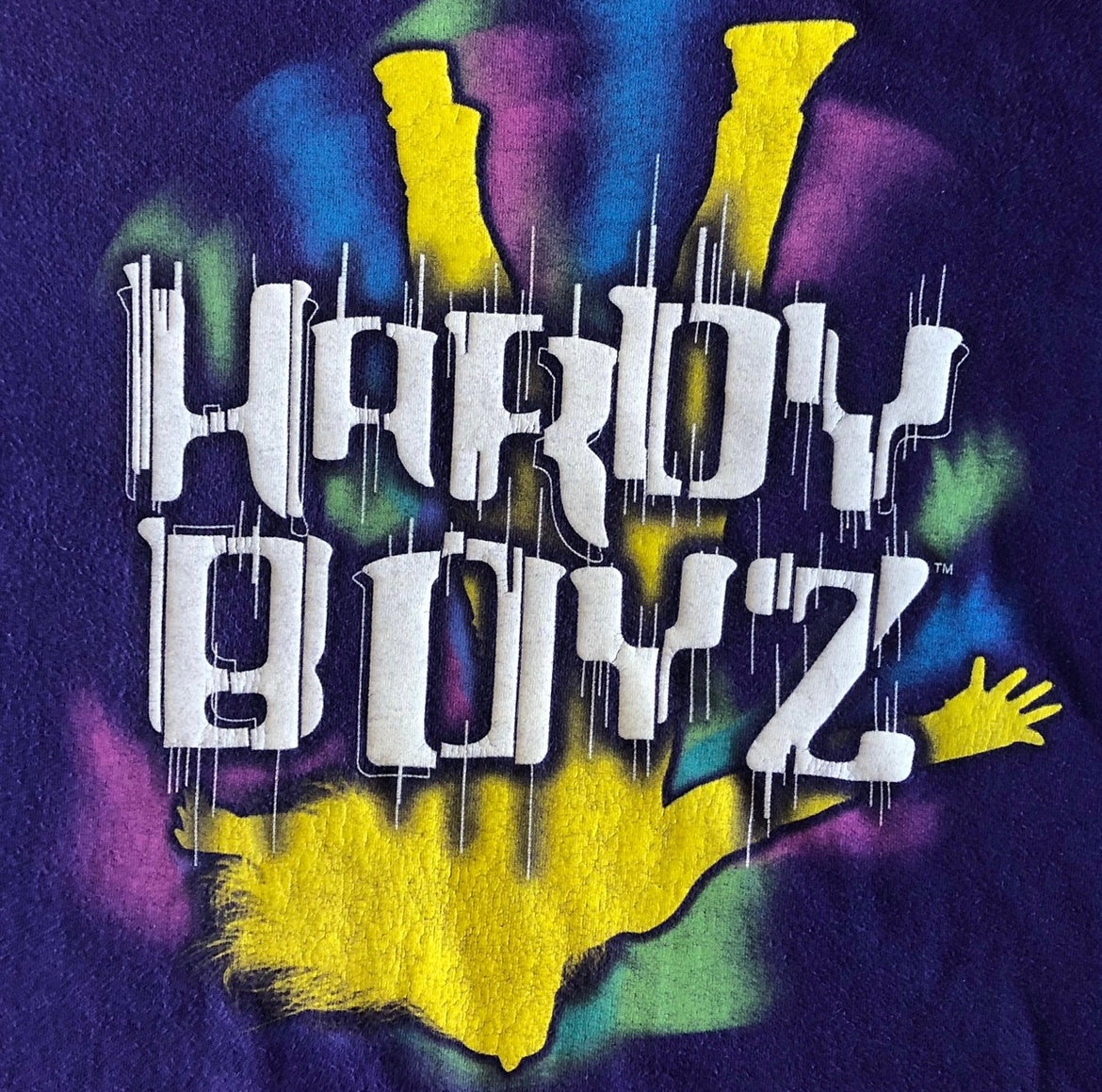 Vintage Y2K WWF Hardy Boys T-Shirt - Size L